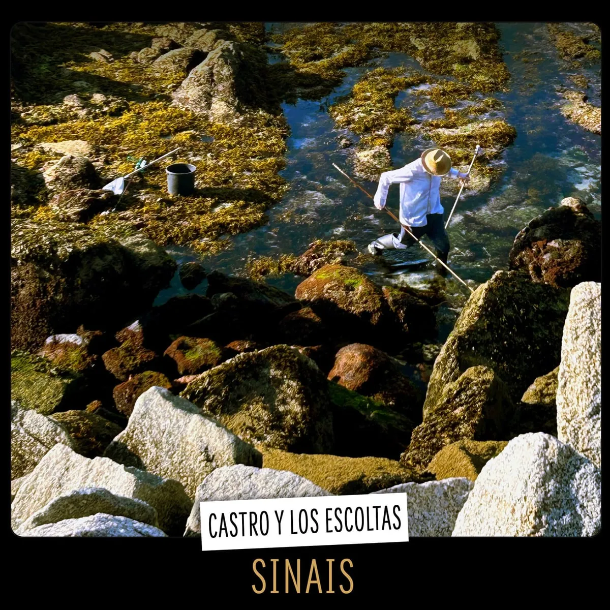Portada de «Sinais» de Castro y los Escoltas
