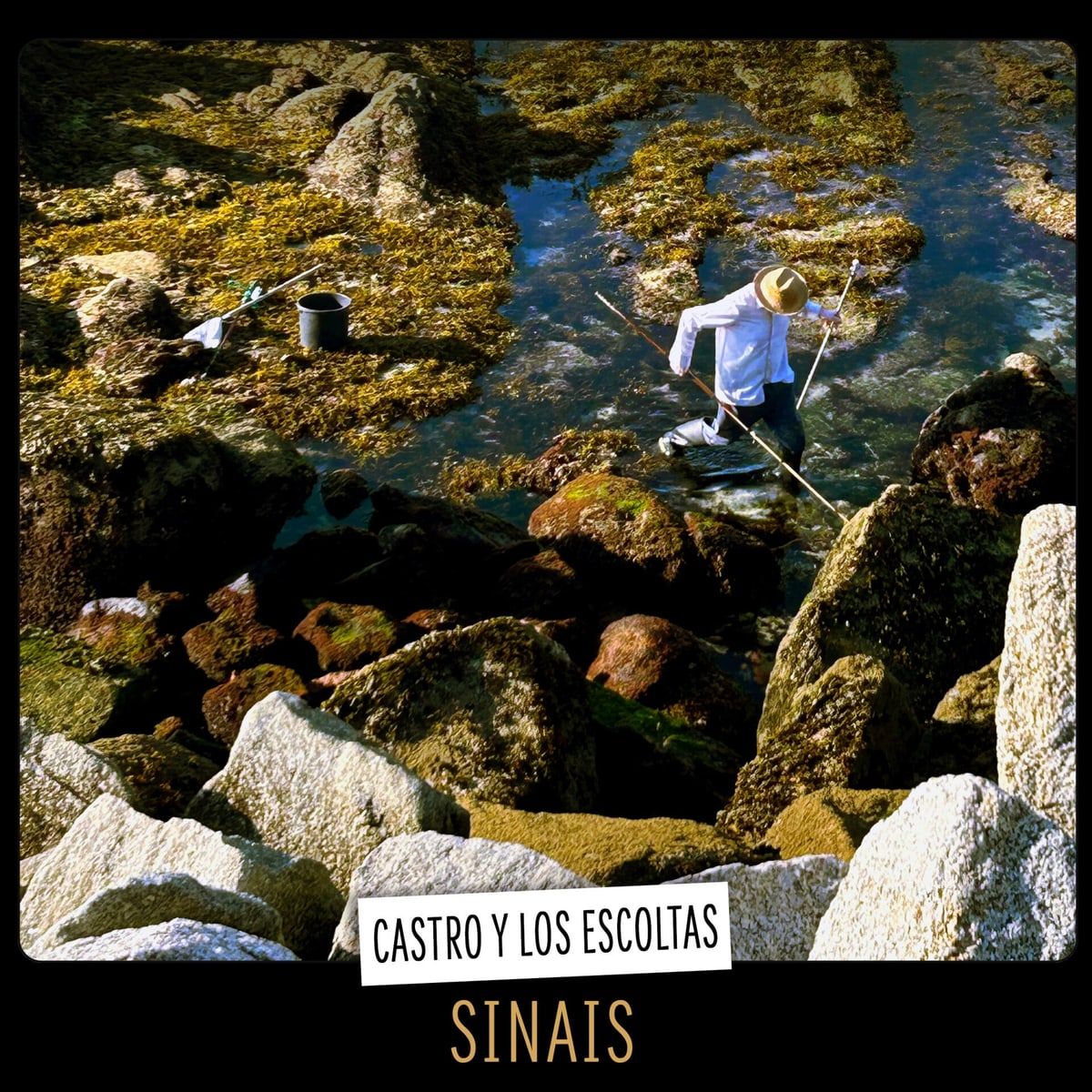Portada de «Sinais» de Castro y los Escoltas